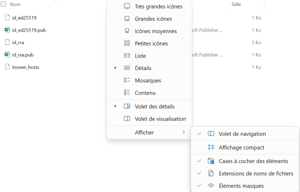 hidden files
